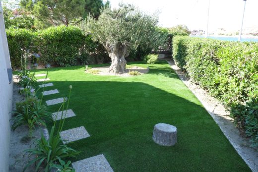 Jardin en gazon synthétique avec olivier et haie