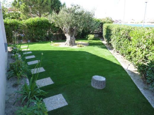 Jardin en gazon synthétique avec olivier et haie
